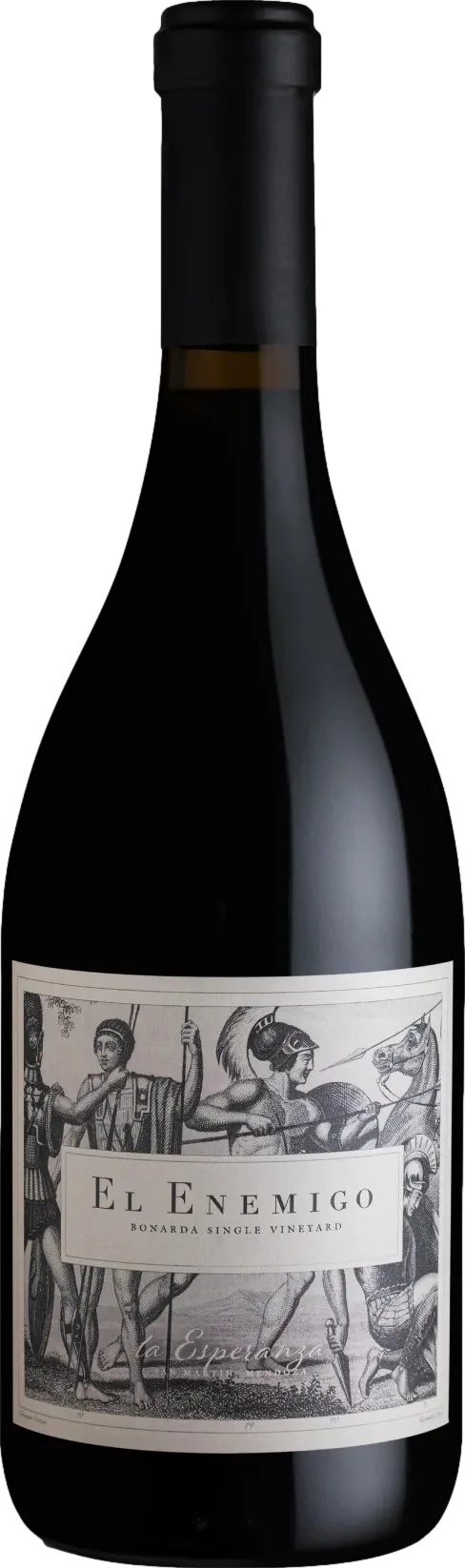 El Enemigo La Esperanza Single Vineyard Bonarda 2022 El Enemigo La Esperanza Single Vineyard Bonarda 2022