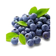 Kulturheidelbeeren Kulturheidelbeeren