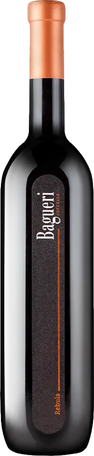 Klet Brda Bagueri Rebula 2021 Klet Brda Bagueri Rebula 2021