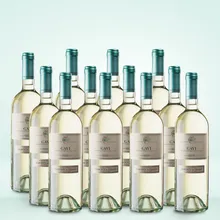 Marchesi di Barolo Gavi 12er Vorratspaket Marchesi di Barolo Gavi 12er Vorratspaket