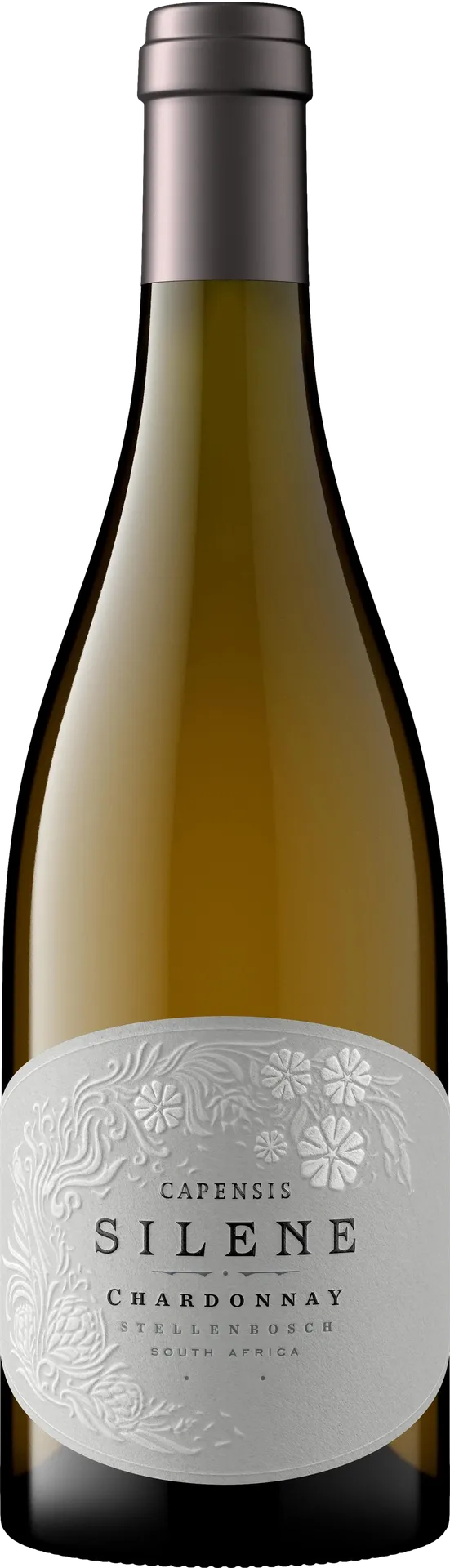 Capensis Silene Chardonnay 2020 Capensis Silene Chardonnay 2020