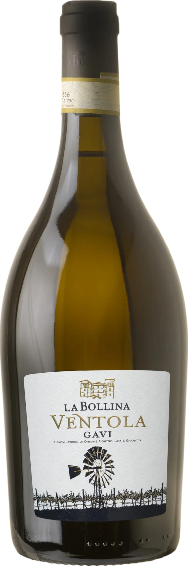 La Bollina Gavi Ventola 2023 La Bollina Gavi Ventola 2023