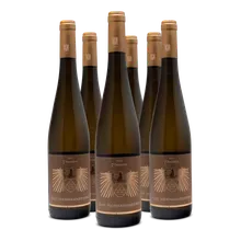 2023 7 Terroirs Riesling 2023 7 Terroirs Riesling
