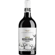 Colomba Bianca Resilience Grillo Sicilia DOC 2024 BIO Colomba Bianca Resilience Grillo Sicilia DOC 2024 BIO