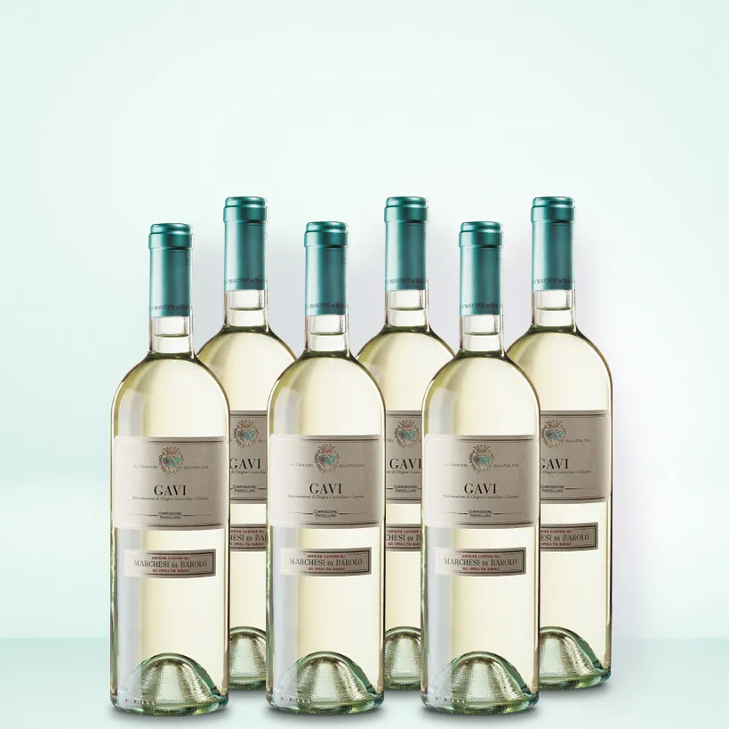 Marchesi di Barolo Gavi 6er Vorratspaket Marchesi di Barolo Gavi 6er Vorratspaket
