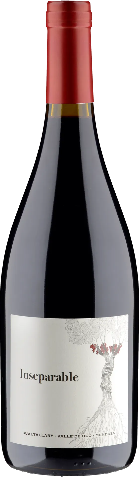 PerSe Inseparable 2022 PerSe Inseparable 2022