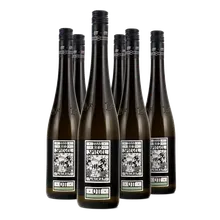 2020 Grüner Veltliner Ried Spiegel Feuersbrunn 2020 Grüner Veltliner Ried Spiegel Feuersbrunn