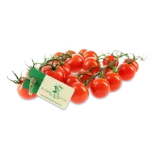 Cocktailtomaten Cocktailtomaten