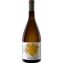 Cantina Tollo Pecorino Terre d'Abruzzo IGP 2025 Cantina Tollo Pecorino Terre d'Abruzzo IGP 2025