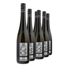 2019 Grüner Veltliner Ried Spiegel Feuersbrunn 2019 Grüner Veltliner Ried Spiegel Feuersbrunn