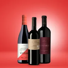 Vinolisa Selezione BBQ Rotwein Trio " Feuer & Flamme" Vinolisa Selezione BBQ Rotwein Trio " Feuer & Flamme"