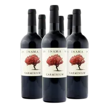 2018 Carminium Colli Berici DOC 2018 Carminium Colli Berici DOC