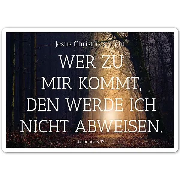 Schild mit Jahreslosung 2022 "Wer zu mir kommt..." Weg zum Licht Schild mit Jahreslosung 2022 "Wer zu mir kommt..." Weg zum Licht