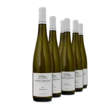 2022 Schiefersteil Riesling trocken 2022 Schiefersteil Riesling trocken