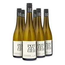 2025 Sauvignon Blanc Tradition 2025 Sauvignon Blanc Tradition