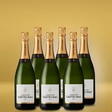 Champagne Castelnau Champagne Castelnau Brut Reserve 6er Vorratspaket Champagne Castelnau Champagne Castelnau Brut Reserve 6er Vorratspaket