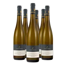 2021 Schiefergestein Bockenauer Riesling trocken 2021 Schiefergestein Bockenauer Riesling trocken