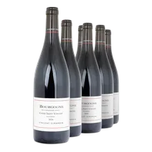 2020 Bourgogne AC Cuvée Saint-Vincent Pinot Noir 2020 Bourgogne AC Cuvée Saint-Vincent Pinot Noir
