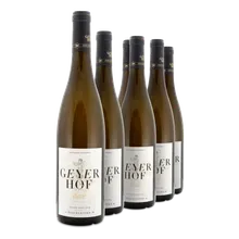 2017 Grüner Veltliner Ried Steinleithn 2017 Grüner Veltliner Ried Steinleithn