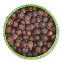 Wacholderbeeren Wacholderbeeren