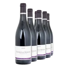 2020 Chambolle-Musigny AC 2020 Chambolle-Musigny AC