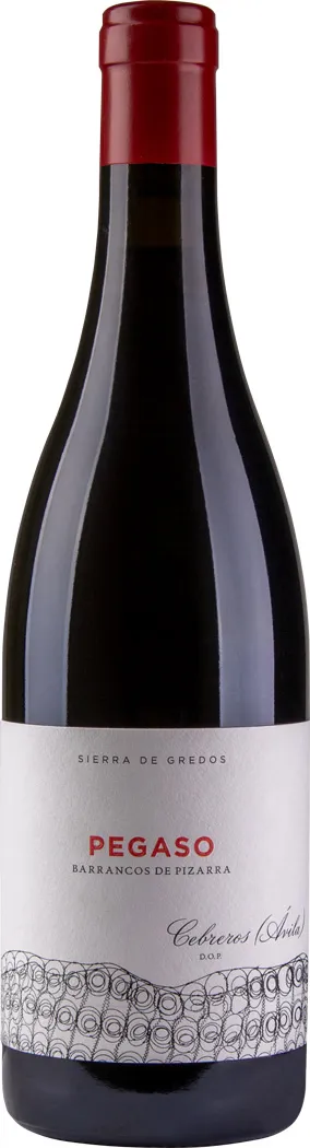 Telmo Rodriguez Pegaso Pizarra Telmo Rodriguez Pegaso Pizarra