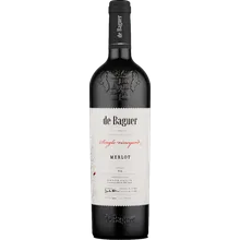 Klet Brda De Baguer Single Vineyard Merlot 2019 Klet Brda De Baguer Single Vineyard Merlot 2019