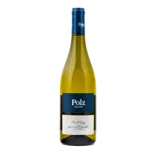 2023 Ried Obegg Sauvignon Blanc 2023 Ried Obegg Sauvignon Blanc
