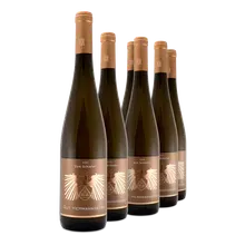 2020 Vom Schiefer Niederhäuser Riesling trocken 2020 Vom Schiefer Niederhäuser Riesling trocken