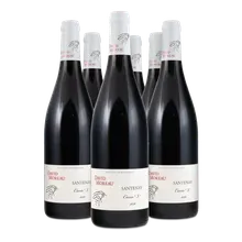2020 Santenay Cuvée S AC 2020 Santenay Cuvée S AC