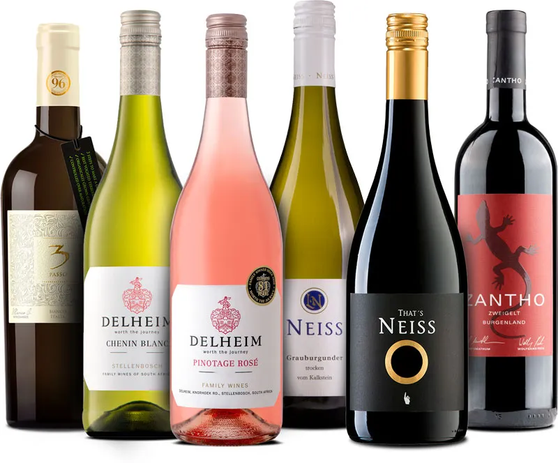 6er Probierpaket Vegane Weine 6er Probierpaket Vegane Weine