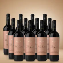 Leone de Castris Villa Santera Primitvo 12er Vorratspaket Leone de Castris Villa Santera Primitvo 12er Vorratspaket