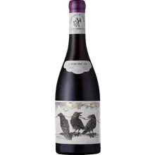 Orpheus & The Raven Conspiracy of Ravens 2022 Orpheus & The Raven Conspiracy of Ravens 2022