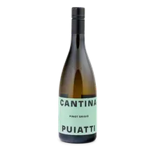 2025 Pinot Grigio Friuli DOC 2025 Pinot Grigio Friuli DOC