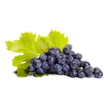 Trauben Muscat dunkel Trauben Muscat dunkel