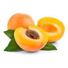 Aprikosen Aprikosen