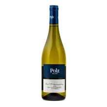 2023 Ried Hochgrassnitzberg Sauvignon Blanc 2023 Ried Hochgrassnitzberg Sauvignon Blanc