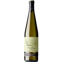 Concilio Classici Pinot Grigio Trentino DOC 2024 Concilio Classici Pinot Grigio Trentino DOC 2024