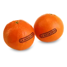 Orangen Soculente Orangen Soculente