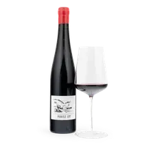 2025 Moritz Ott Blaufränkisch 2025 Moritz Ott Blaufränkisch