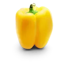 Paprika gelb/orange Paprika gelb/orange