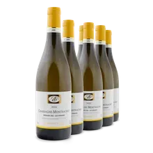 2022 Chassagne-Montrachet Premier Cru AC Les Vergers Blanc 2022 Chassagne-Montrachet Premier Cru AC Les Vergers Blanc