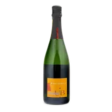 2023 Montagnole Valdobbiadene DOCG Rive di S. Stefano Extra Brut 2023 Montagnole Valdobbiadene DOCG Rive di S. Stefano Extra Brut