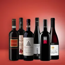 Vinolisa Selezione Wald & Wild Feinschmecker Herbstweinpaket Vinolisa Selezione Wald & Wild Feinschmecker Herbstweinpaket