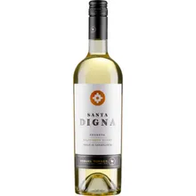 Torres Santa Digna Sauvignon Blanc Reserva Torres Santa Digna Sauvignon Blanc Reserva