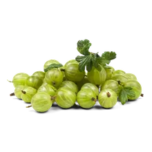 Stachelbeeren Stachelbeeren