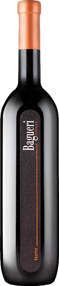 Klet Brda Bagueri Merlot 2020 Klet Brda Bagueri Merlot 2020