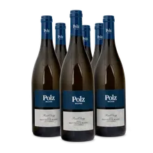 2021 Ried Obegg Sauvignon Blanc trocken 2021 Ried Obegg Sauvignon Blanc trocken