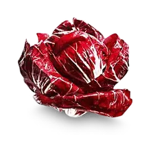Radicchio Radicchio