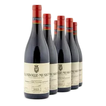 2023 Chambolle-Musigny AC 2023 Chambolle-Musigny AC